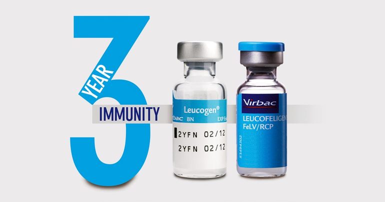 Препарат Лейкоген,