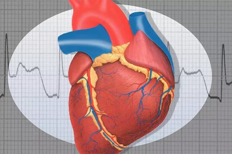Причины коронарная недостаточность сердца