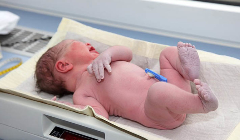 Принципы классификации