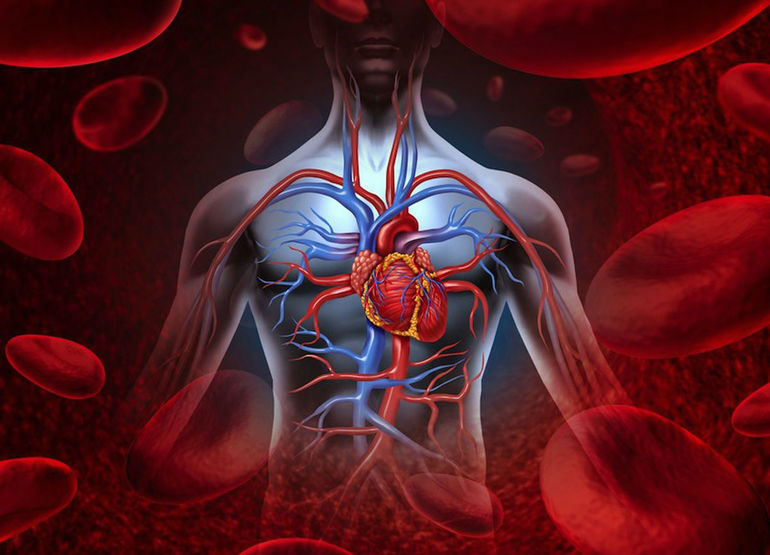 Профилактика заболеваний по оксигенации