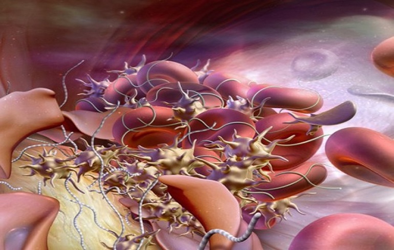 Протромбиновый индекс норма