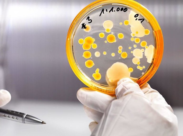 Распад эритроцитов