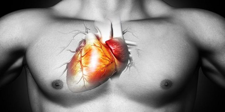 Расположение сердца справа