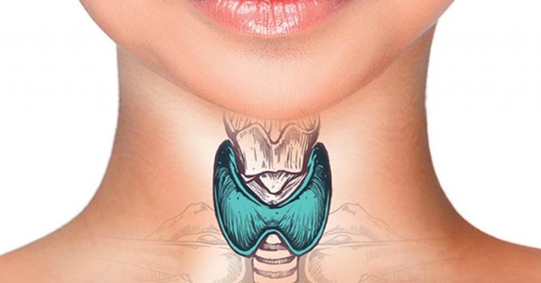 Регулирования работы щитовидки