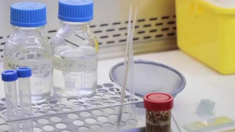 Результаты анализа кала