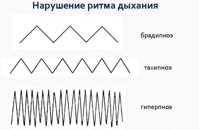 ritmy dyhanija