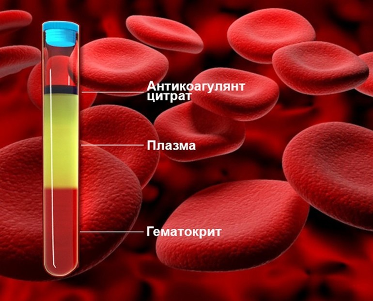 Роль гематокрита в крови