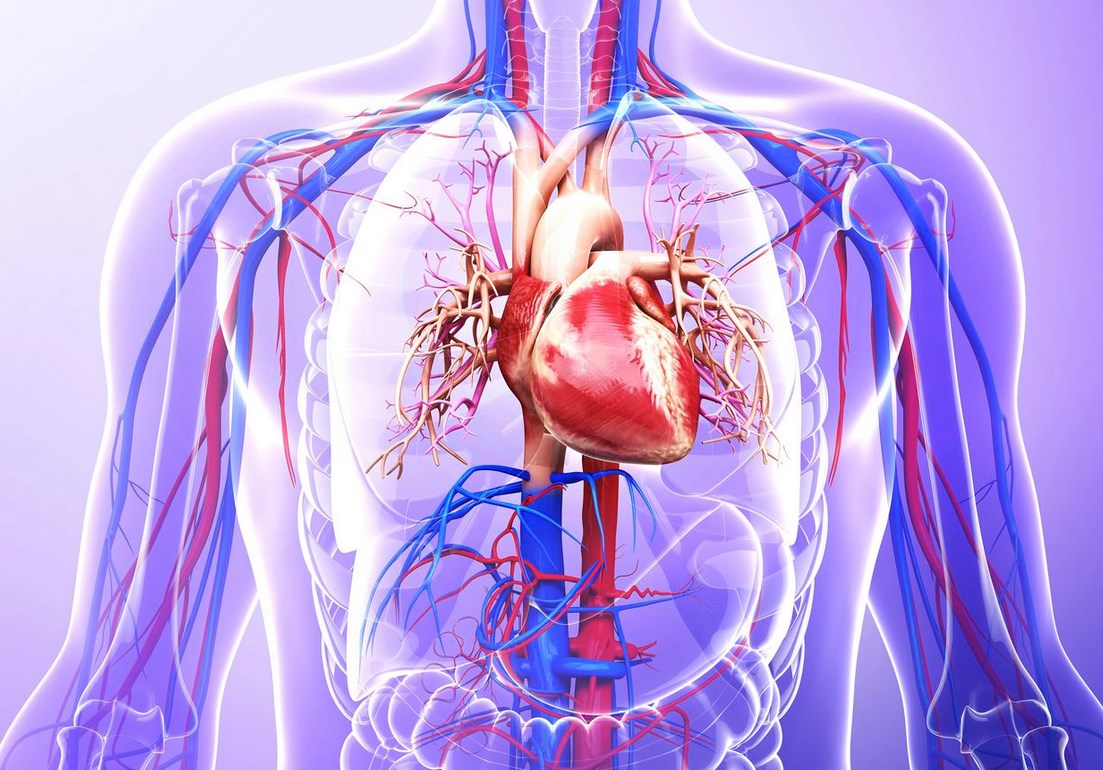 Нарушения ритма сердца