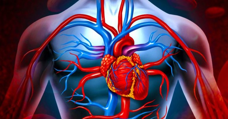 Сердечно-сосудистые патологии.