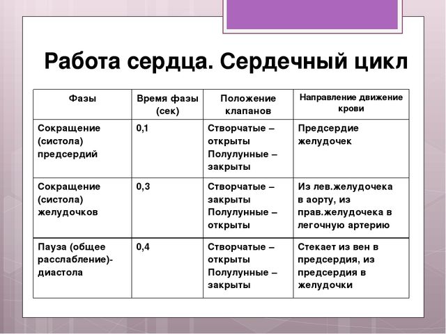 сердечный цикл