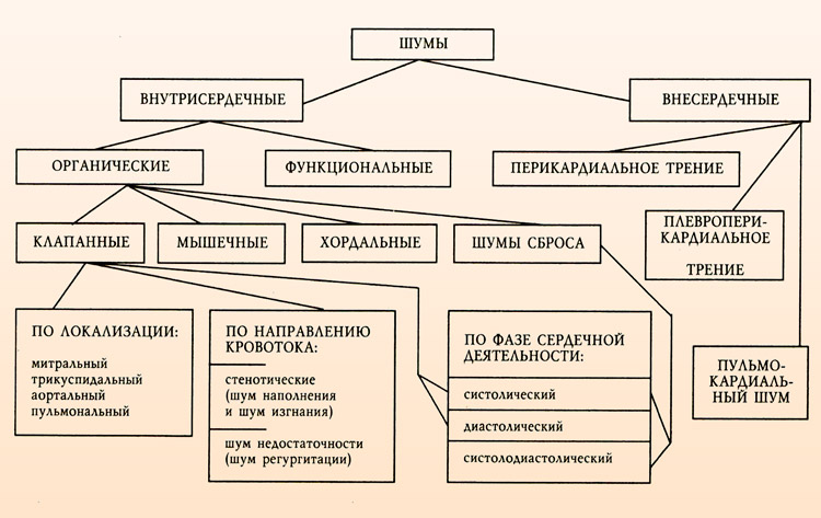 шумы в сердце у ребенка