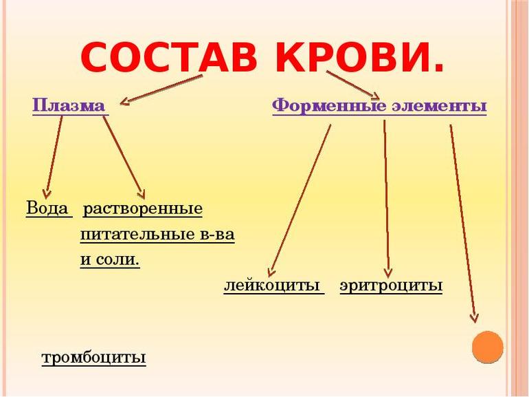 Состав крови у человека