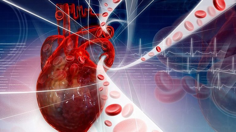 Сосудочно-кровяные заболевания