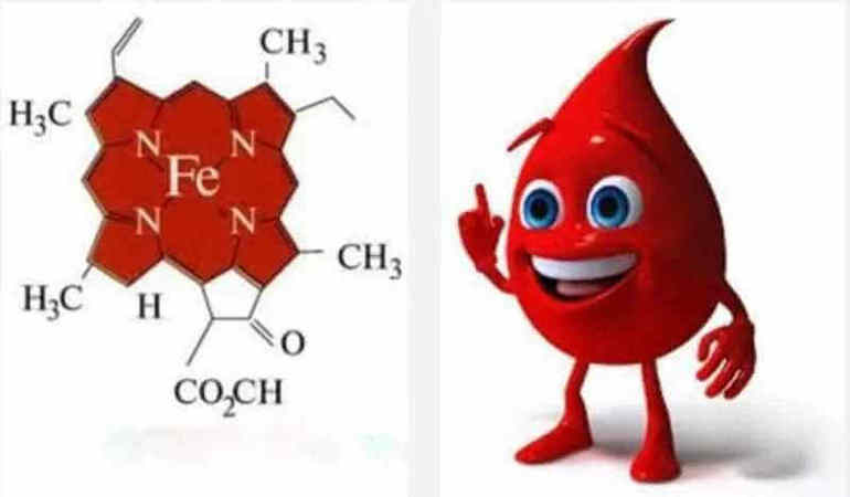 Как стабилизировать уровень гемоглобина в крови