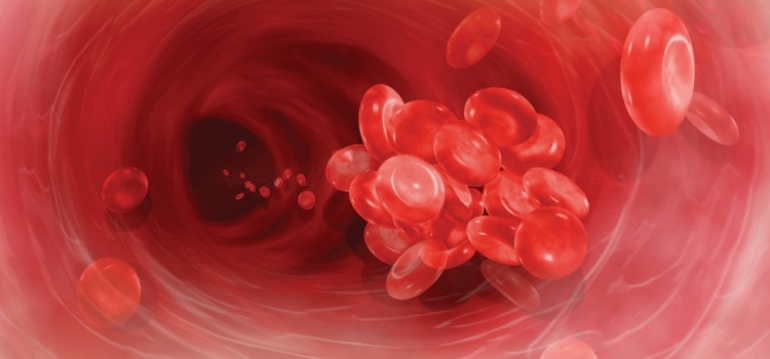 Свертываемость крови