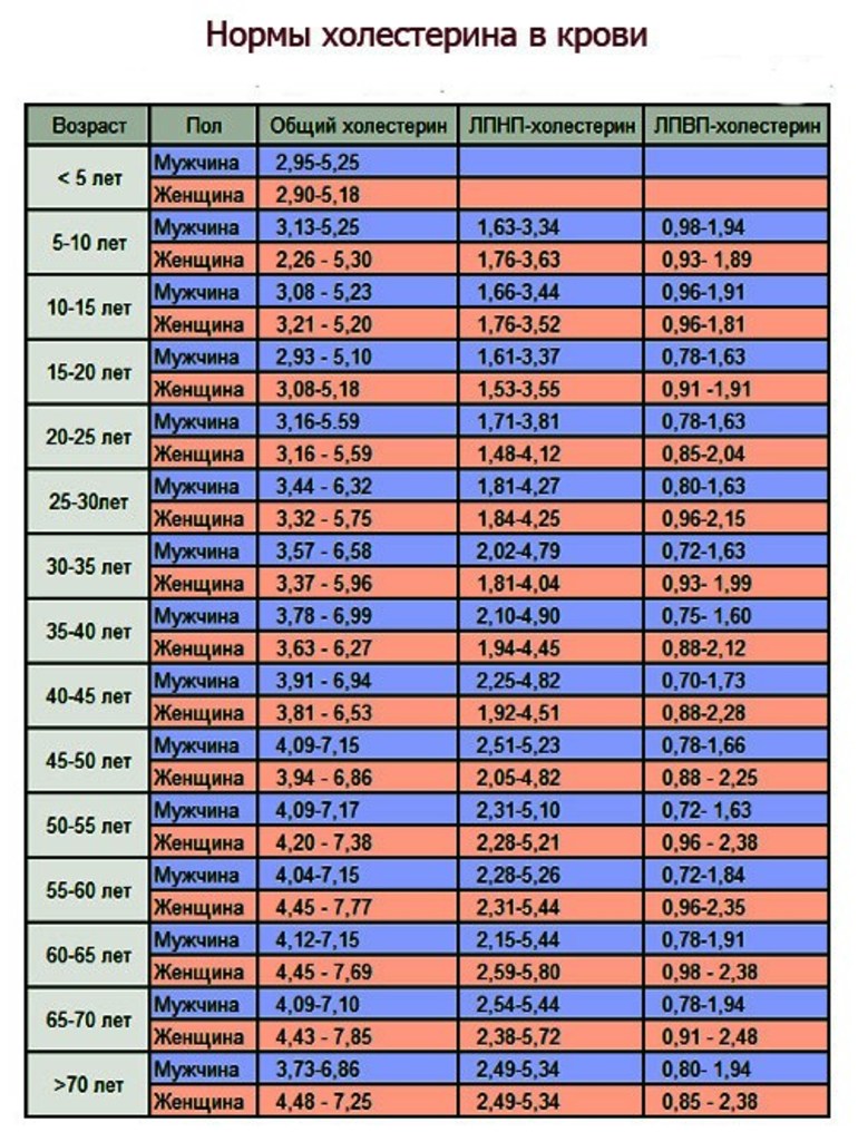 Таблица норм холестерина у женщин