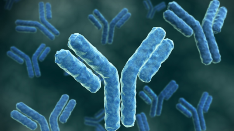 Что такое антитела