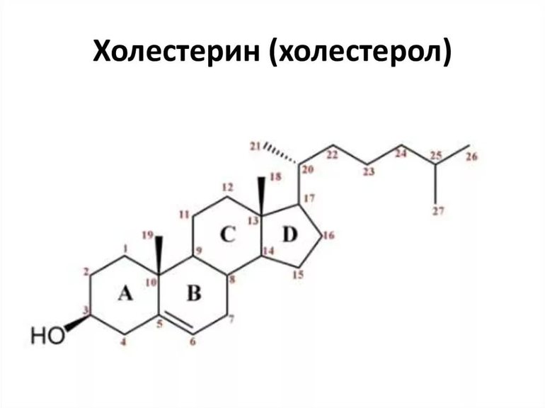 Что такое холестерол