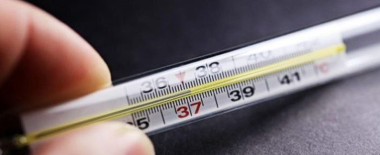 Температура тела и пульс