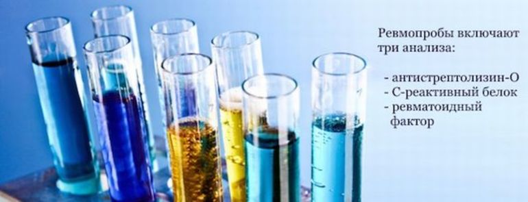 Ваалера-Розе