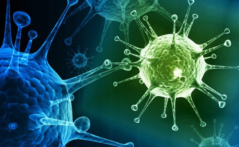 Вирусы, сопровождающиеся высокой температурой,