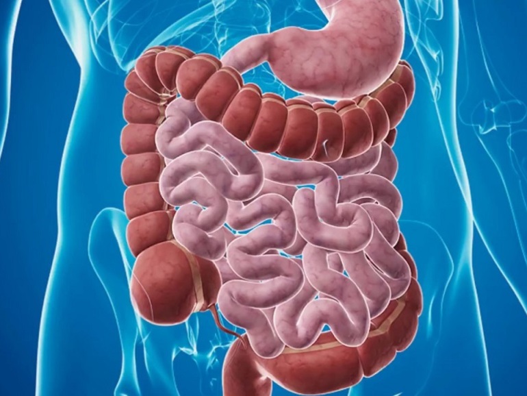 Возможные причины пониженного гемоглобина