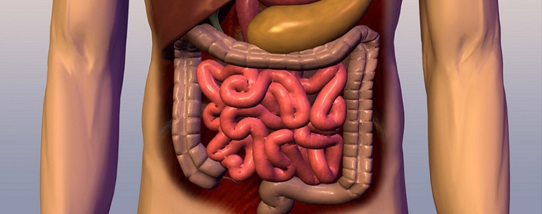 Заболевание кишечника
